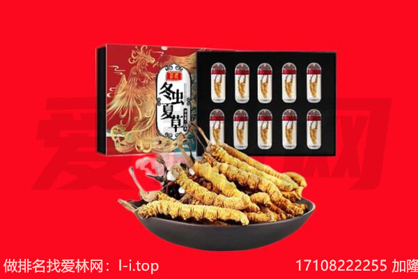 襄垣县回收虫草.jpg